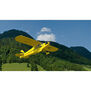 RealFlight Evolution 2025 Quarterly Content Pack 3